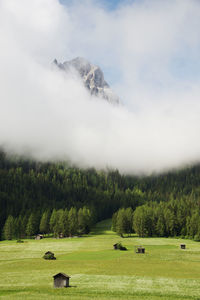 Scenic view of trees and mountains in dolomites