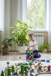 Portrait of woman holding potted plant at home