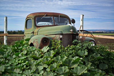 Abandoned truck on field against sky