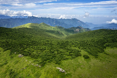 Scenic view of landscape against sky