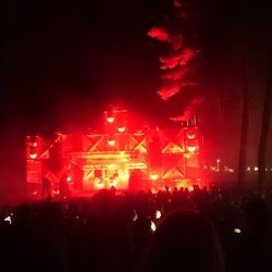 People enjoying music concert at night
