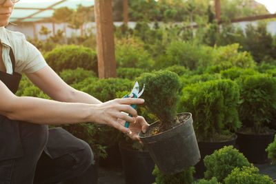 Midsection of man holding umbrella by plants