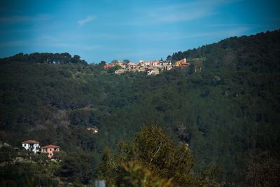 High angle view of trees and houses against sky