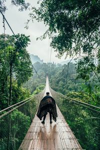 A person wearing a robe standing on a suspension bridge in a tropical rain forest