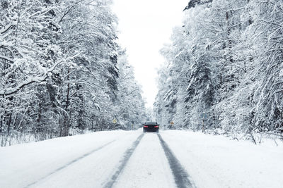 Road amidst snow covered trees