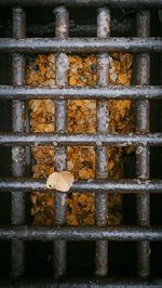 Full frame shot of metal grate