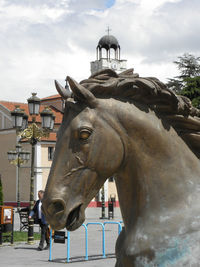 Horse against the sky