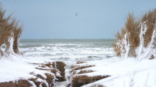 Scenic view of sea against clear sky during winter