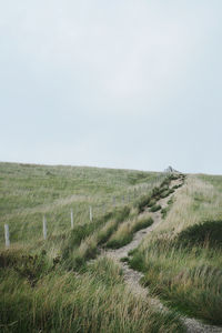 Scenic view of field against clear sky