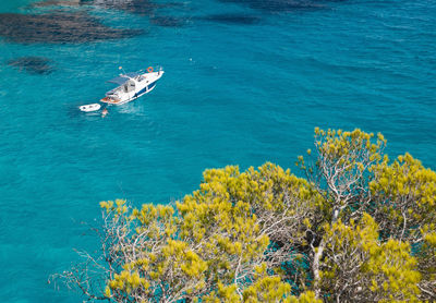 High angle view of plants by sea