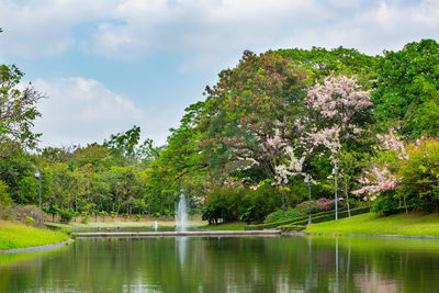 Scenic view of lake by trees against sky