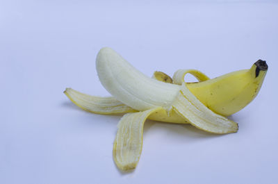 Close-up of yellow fruit against white background