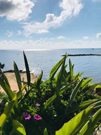 Scenic view of sea against sky