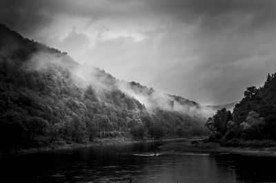 Scenic view of river in forest against sky