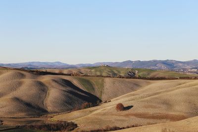 Scenic view of field against clear sky