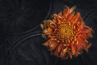 High angle view of flower bouquet