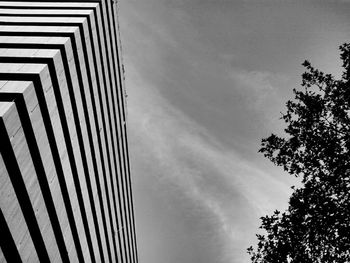 Low angle view of trees against sky