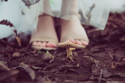 Low section of woman standing on mushrooms