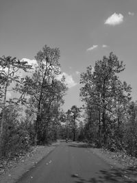 Road amidst trees against sky