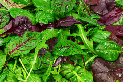 green