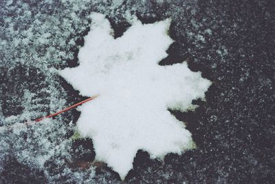 High angle view of snow