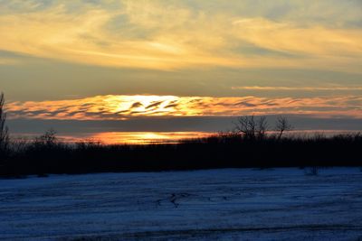 Silhouette of trees against cloudy sky during sunset