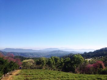 Scenic view of field against clear blue sky