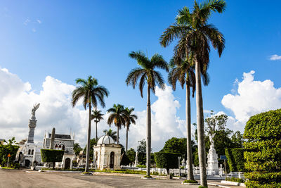 Panoramic view of palm trees against sky