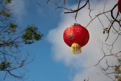 Low angle view of red lanterns hanging on tree against sky