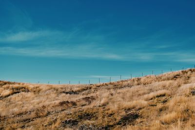 Scenic view of field against blue sky