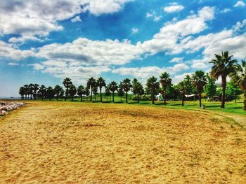 Scenic view of trees on field against sky