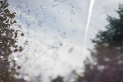 Low angle view of raindrops on plants against sky