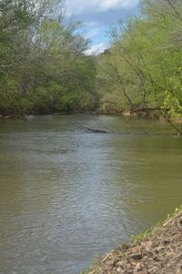 Scenic view of river against sky