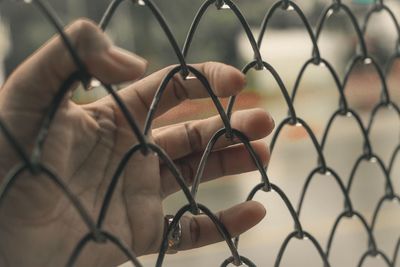 Close-up of hand holding chainlink fence