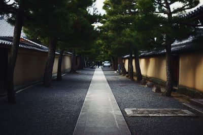 Walkway amidst trees