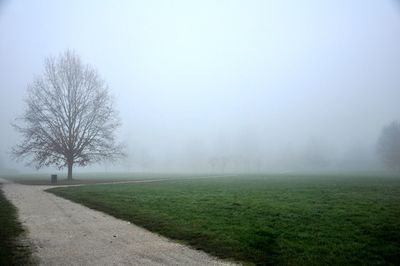 mist