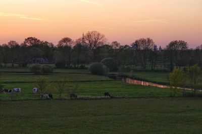 Scenic view of agricultural field against sky during sunset