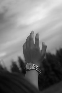 Close-up of hand holding leaf against sky