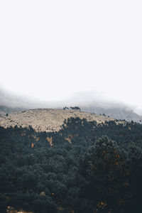 Scenic view of landscape against clear sky
