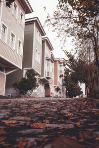 Houses by street in city against sky