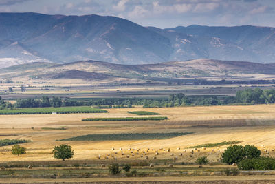 Scenic view of agricultural field against sky