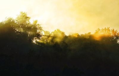 Low angle view of silhouette trees against sky