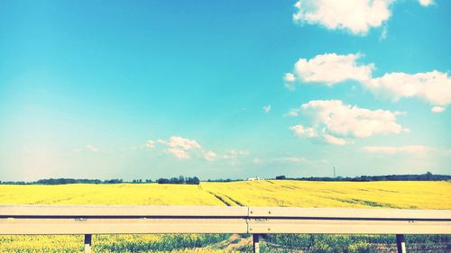 Scenic view of field against blue sky