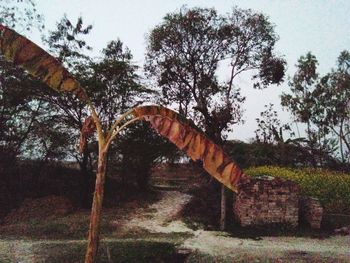 Low angle view of arch bridge on field against sky