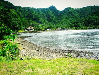 Scenic view of river