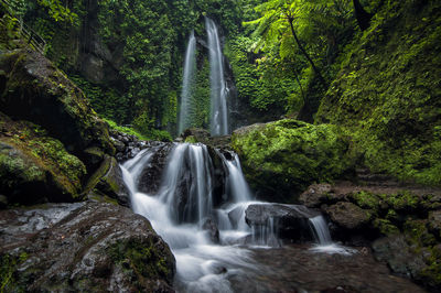 Scenic view of waterfall in forest