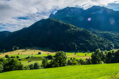 La compote in savoie in france