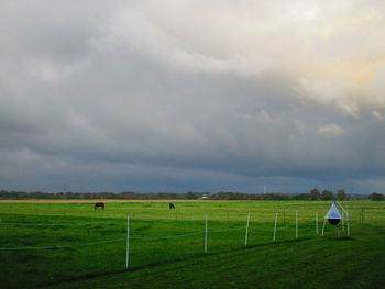 Scenic view of field against sky