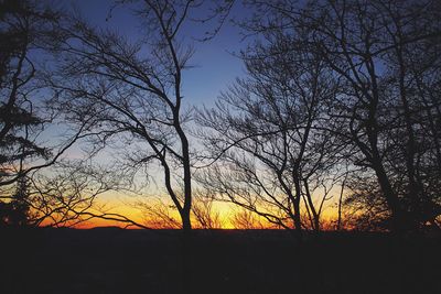 Low angle view of silhouette trees against sky