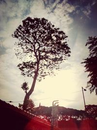 Low angle view of bare tree against cloudy sky